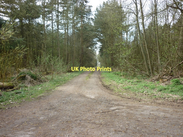 Photo 6"x4" A track heading west from East Ferry Road, Laughton Laughton\/SK8497 c2011