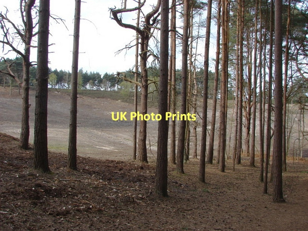 Photo 6"x4" Sunningdale Golf Course Scotswood\/SU9466 c2011
