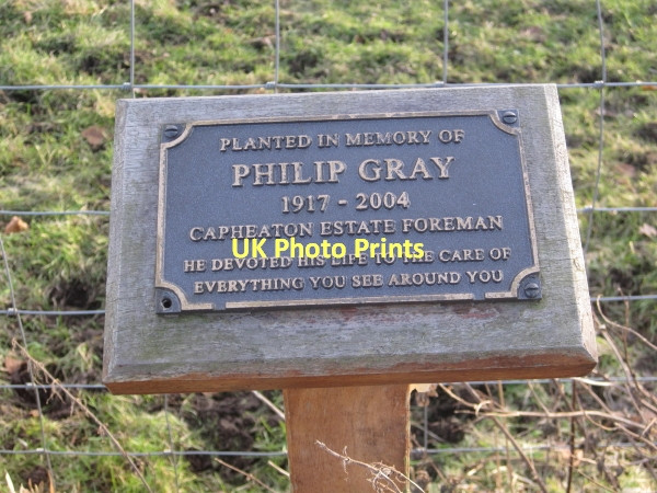 Photo 6"x4" Memorial Plaque to Philip Gray, Capheaton Capheaton c2011