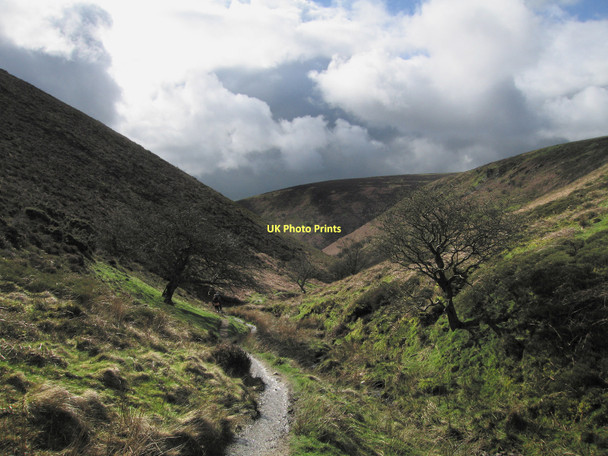 Photo 6"x4" Path to Ashes Hollow. Long Mynd Medlicott\/SO4094 c2011