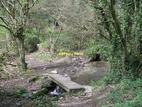 Photo 6"x4" Simple footbridge over a brook  East Allington c2011