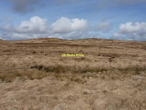 Photo 6"x4" Rhos Fign bog, looking north Rhos Fign c2011
