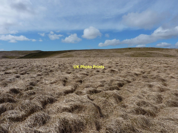 Photo 6"x4" NW from the rounded hillock Llyn y Figyn c2011