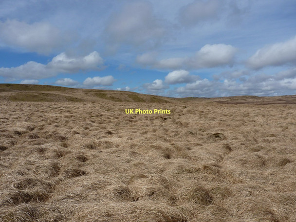 Photo 6"x4" N from the rounded hillock Llyn y Figyn c2011