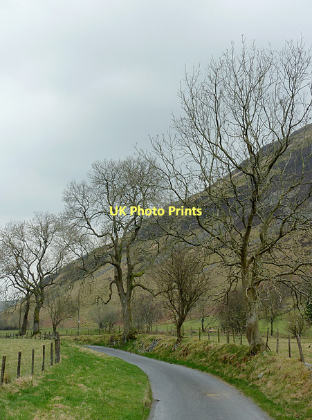 Photo 6"x4" The road to Tregaron at Cwmberwyn, Ceredigion Afon Berwyn c2011