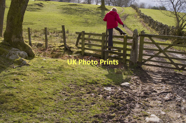 Photo 6"x4" Footpath to Whasdike Farm Windermere\/SD4198 c2011