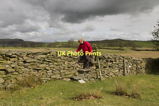 Photo 6"x4" Stile on footpath to Ings Windermere\/SD4198 c2011