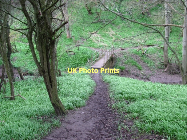 Photo 6"x4" Footbridge, Newbiggin Grindon\/NT9144 c2011
