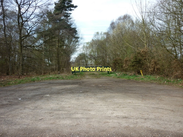Photo 6"x4" A track heading west to Laughton Forest Laughton\/SK8497 c2011