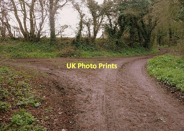 Photo 6"x4" Track junction Lynch\/SU5049 c2011