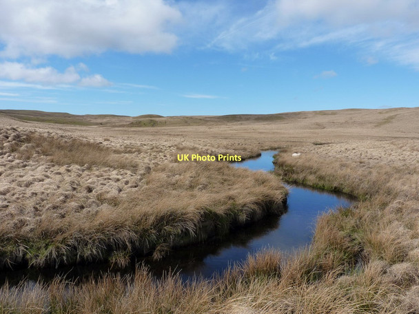 Photo 6"x4" The Nant y Fign (and a rescued sheep) Llyn y Figyn c2011