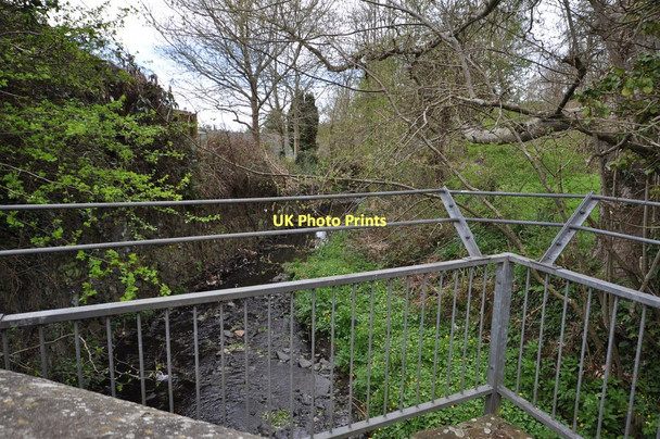 Photo 6"x4" Looking downstream from a bridge on Combrew Lane Combrew c2011