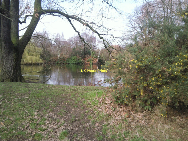 Photo 6"x4" Main pond on Wandsworth Common Clapham\/TQ2975 c2011