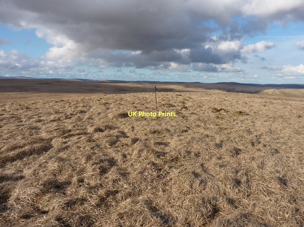 Photo 6"x4" The summit of Priddellau Priddellau c2011
