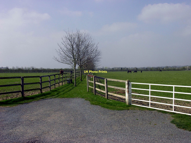 Photo 6"x4" Horses and Fences Aston Upthorpe c2011