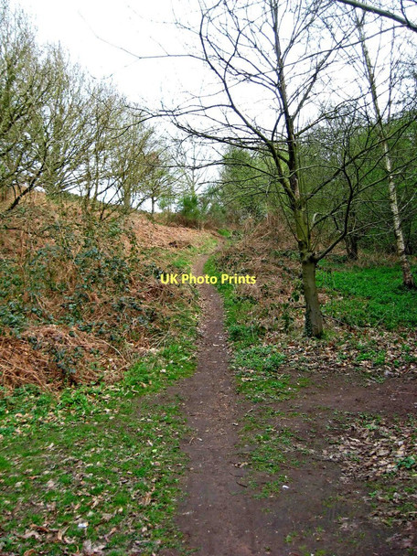 Photo 6"x4" Footpath up to Cookley Playing Fields from Lea Lane Wolverley\/SO8379 c2011