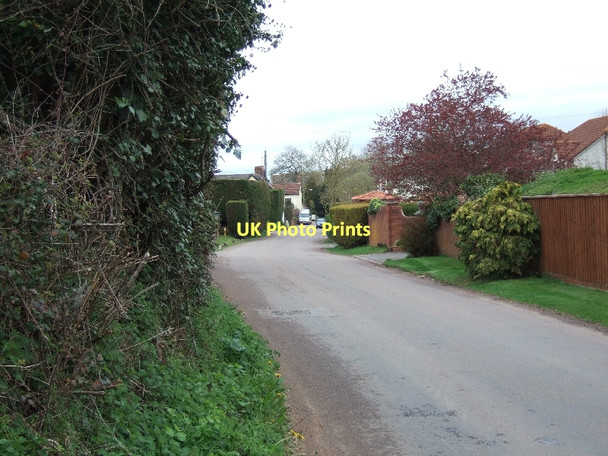 Photo 6"x4" The main street of Woodbury Salterton Woodbury\/SY0187 c2011