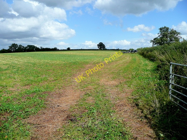 Photo 6"x4" Bury Hill Bromsash c2009