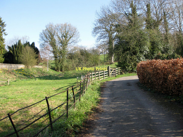 Photo 6"x4" Community garden Kirkbymoorside c2011