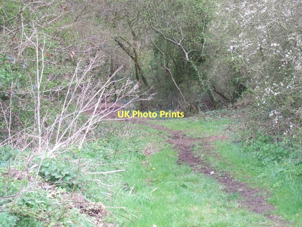 Photo 6"x4" Footpath and bridle path at Canterbury Green Hawkerland c2011
