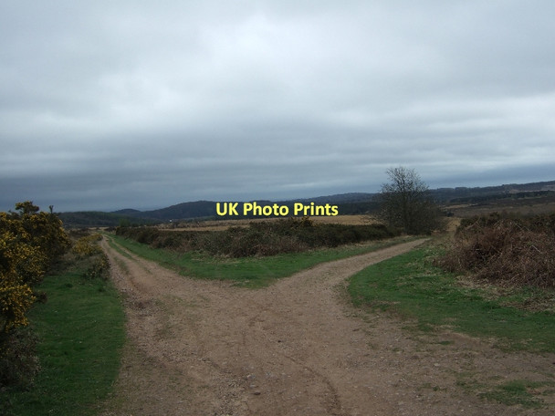Photo 6"x4" Two tracks on Colaton Raleigh common Hawkerland c2011