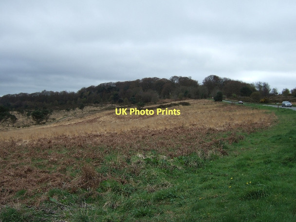 Photo 6"x4" Woodbury Castle and common land Woodbury\/SY0187 c2011