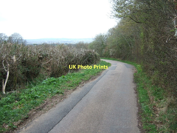 Photo 6"x4" Hedge by the road to Coombe Park Hawkerland c2011