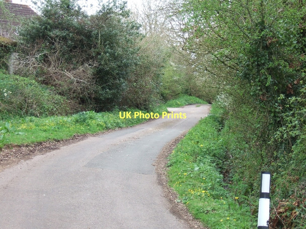 Photo 6"x4" The road to Cannonwalls from Oak Well Woodbury\/SY0187 c2011