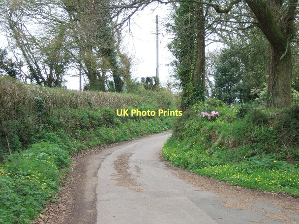 Photo 6"x4" The road to Woodbury Salterton from Oak Well Woodbury\/SY0187 c2011