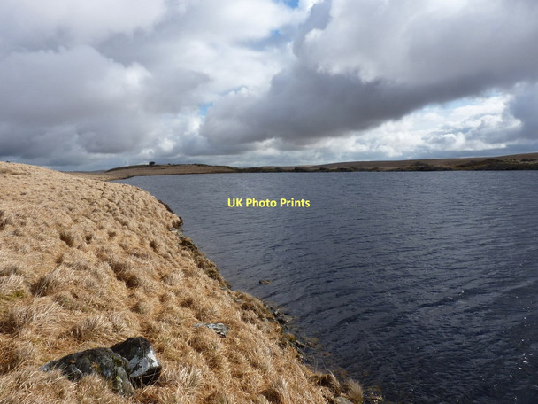 Photo 6"x4" The NE end of Llyn Cerrigllwydion Isaf Llyn Cerrigllwydion Isaf c2011