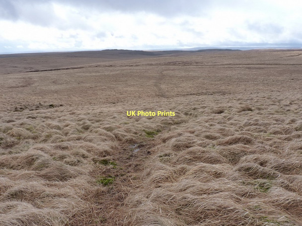 Photo 6"x4" ATV or horse track across Pant-llwyd Pant-llwyd c2011