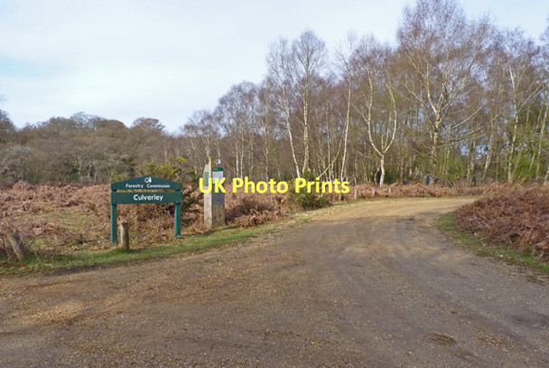 Photo 6"x4" Entrance to Culverley Car Park Furzey Lodge c2011