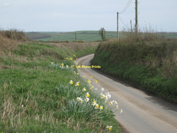 Photo 6"x4" Deplorable gardenizing Abbotsleigh c2011
