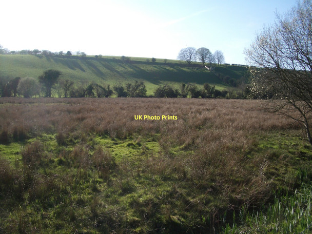 Photo 6"x4" Sydling Valley: water meadows Frampton\/SY6295 c2011