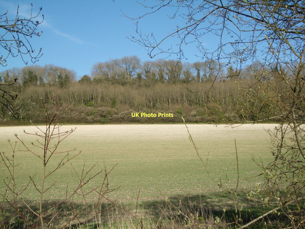 Photo 6"x4" Sydling Valley: farmland in spring Sydling St Nicholas c2011