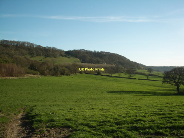 Photo 6"x4" Remedy Rocks: fertile pasture land near High Stoy Hilfield c2011