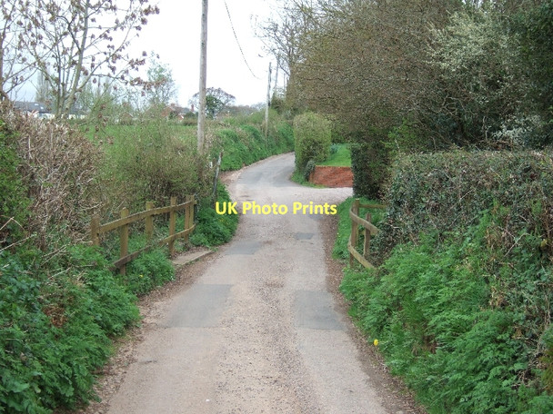 Photo 6"x4" Bridge Pitt from the south Woodbury\/SY0187 c2011