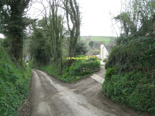 Photo 6"x4" Lane down to Abbotsleigh Abbotsleigh c2011