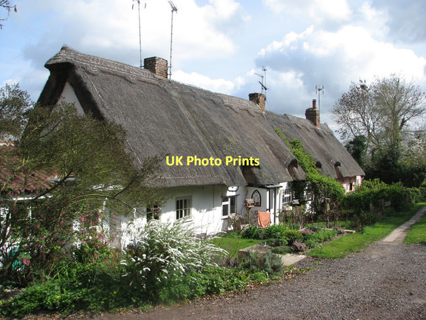 Photo 6"x4" Haslingfield: thatched row Frog End\/TL4052 c2011