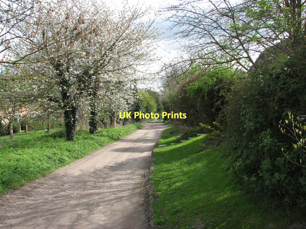 Photo 6"x4" Haslingfield: Back Lane in spring Frog End\/TL4052 c2011