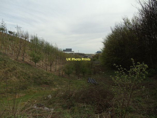 Photo 6"x4" The land between two motorways Knottingley c2011