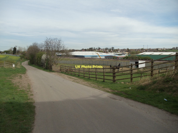 Photo 6"x4" Horses in a field off Sowgate Lane Knottingley c2011