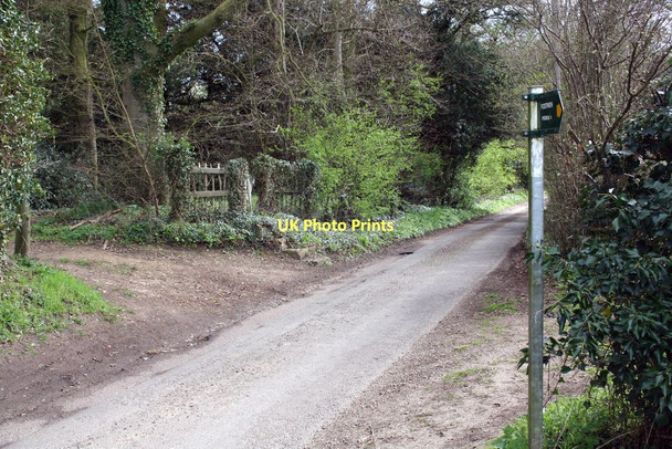 Photo 6"x4" Steps to gate at entrance to Knapps Wichelo Ipsden c2011