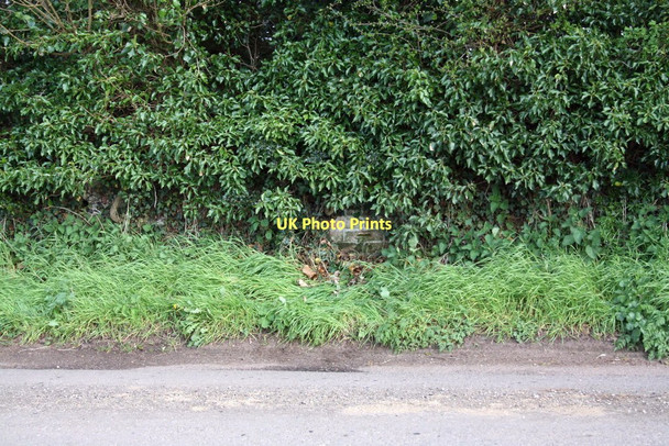 Photo 6"x4" Ivy-covered flint and brick wall on western boundary of Braziers Park Ipsden c2011