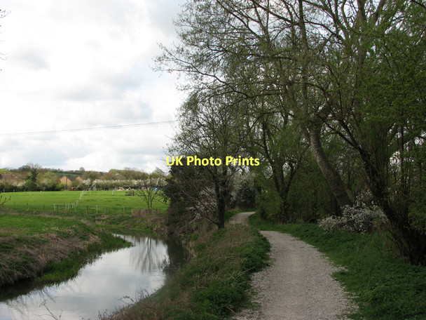 Photo 6"x4" The Cam (or Rhee) at Haslingfield Frog End\/TL4052 c2011