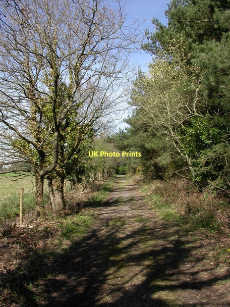 Photo 6"x4" Avon Heath, bridleway Grange Estate c2011