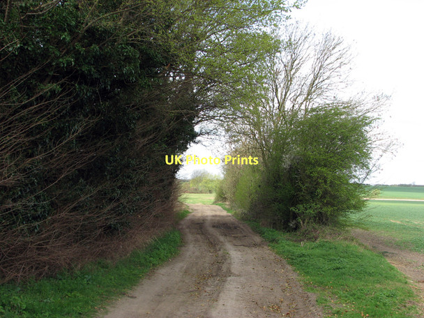 Photo 6"x4" The way to Haslingfield Harston\/TL4251 c2011