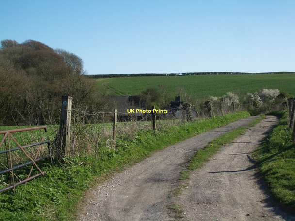 Photo 6"x4" The Track to Tilly Whim... Bradford Peverell c2011