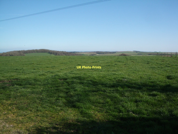 Photo 6"x4" Pasture land near Southover (Longlands Farm) Southover\/SY6294 c2011