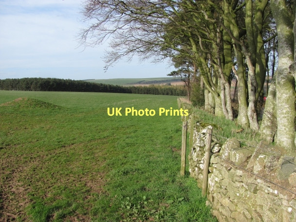 Photo 6"x4" Field edge, Brockholes Houndwood c2011